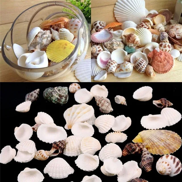 50g Small Sea Shells Mixed Ocean Beach Seashells-Natural Colorful shells Starfish Perfect for Vase Fillers | Дом и сад