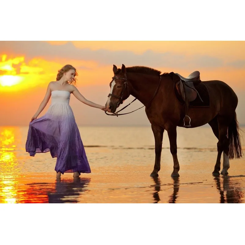 

Diy diamond painting Horse and girl Two horses Diamond Embroidery 5d Diamond pictures full mosaic,square Rhinestones Y0945