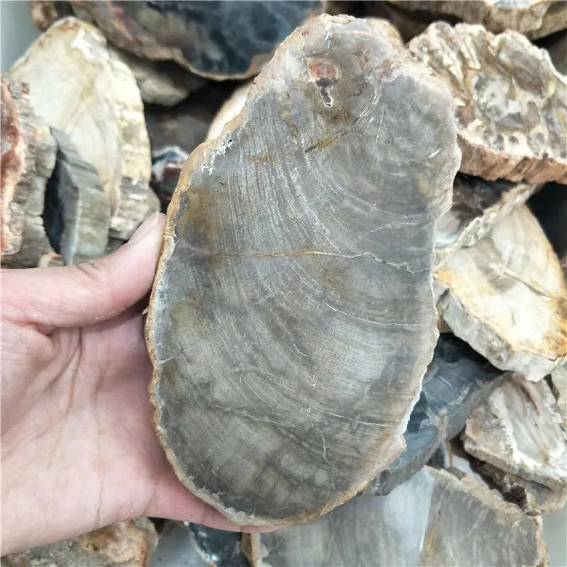 Натуральный камень и хрустальный каменный fossil tree для coaster украшения дома|Камни| |