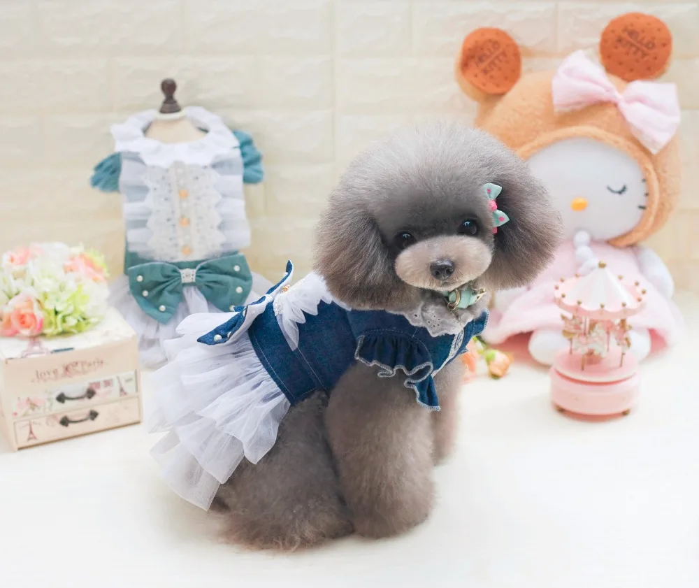 Европейская Женская одежда из джинсовой ткани для домашних питомцев новинка