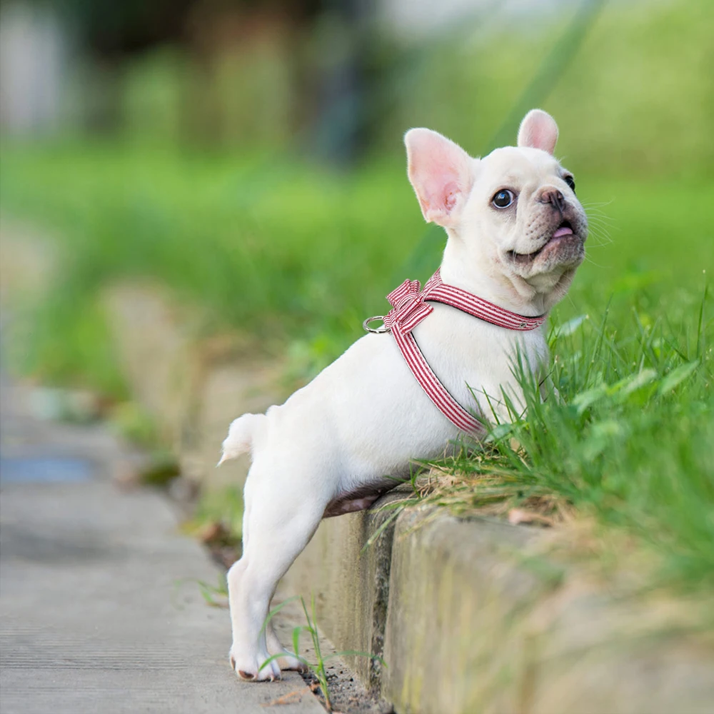 Поводок для маленькой собаки кожаный поводок щенка регулируемый бантик