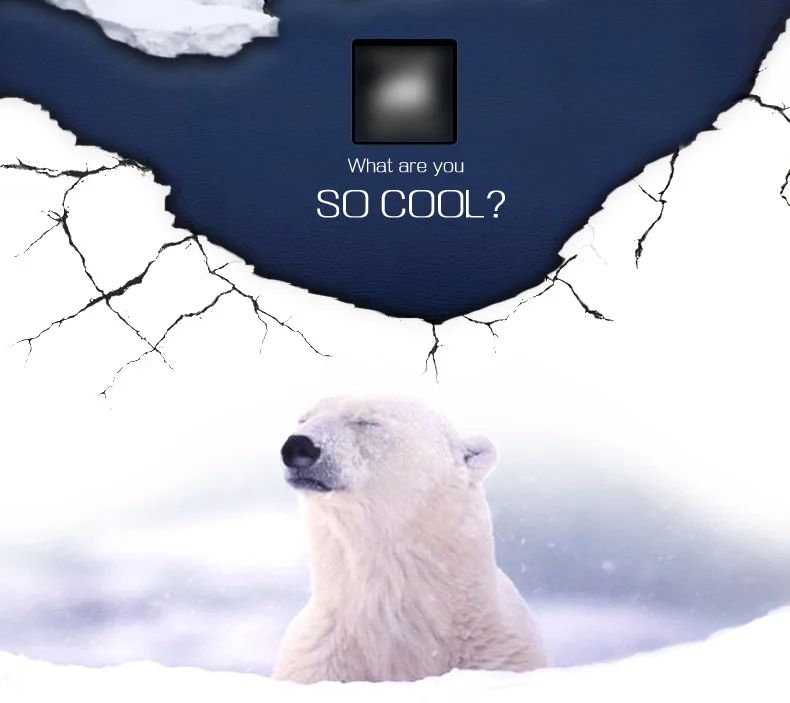 Американский Полярный Бутылка polar bear холодной спортивные бутылки открытый Оборудование Горный велосипед для верховой езды чайник CR-838