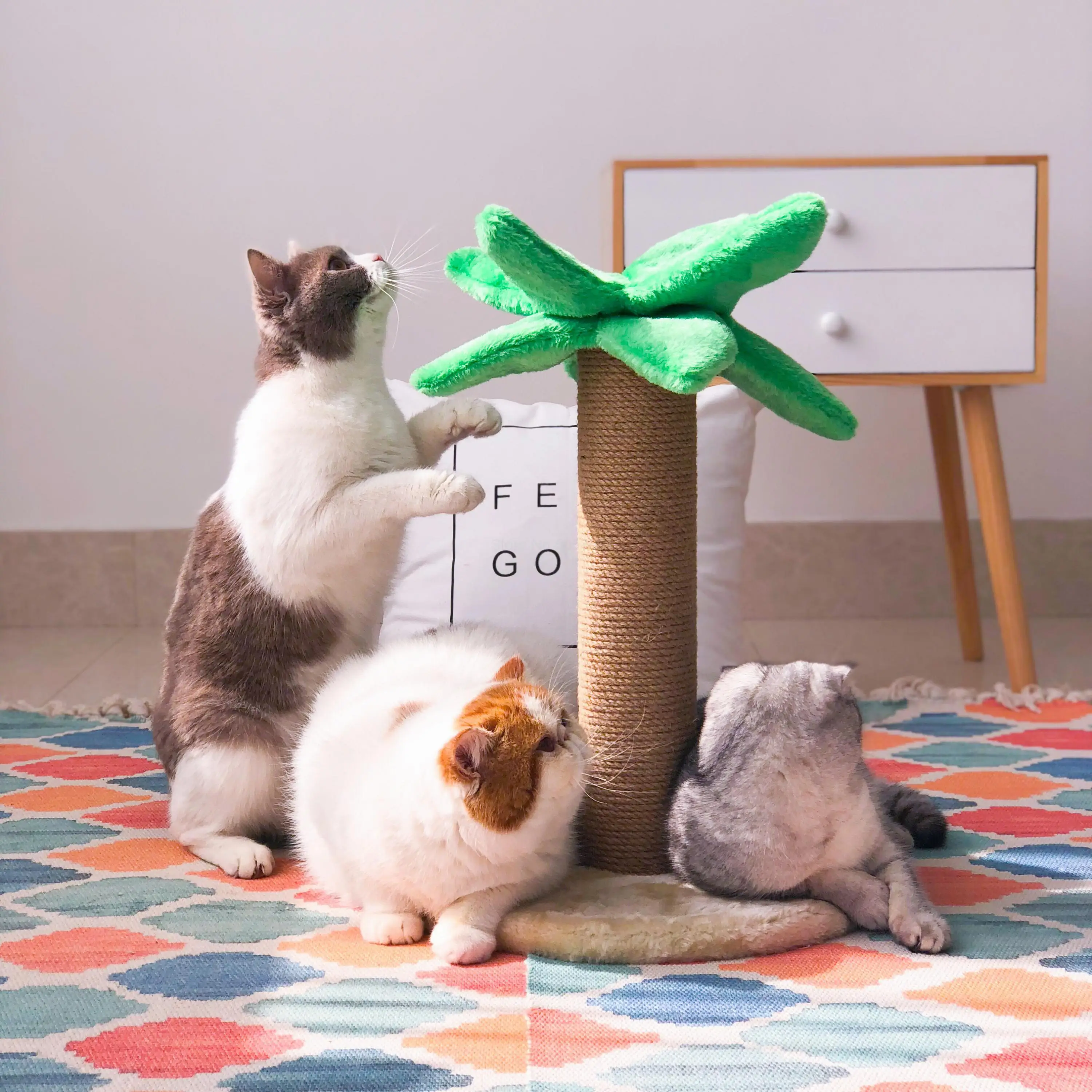 Кокосовое дерево для кошек подъемная рама игрушка кошачий наполнитель