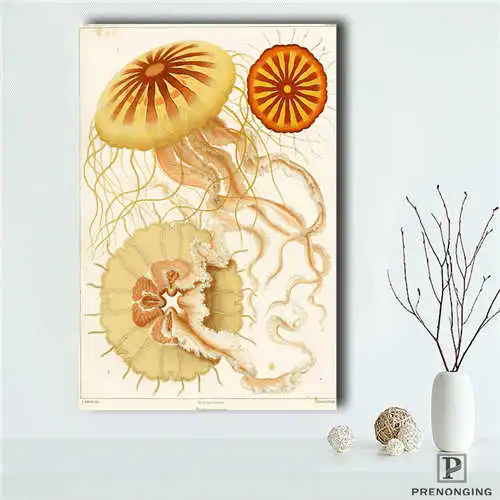 Пользовательское искусство-Haeckel-Asteridea (1) @ Печатный постер ткань стены