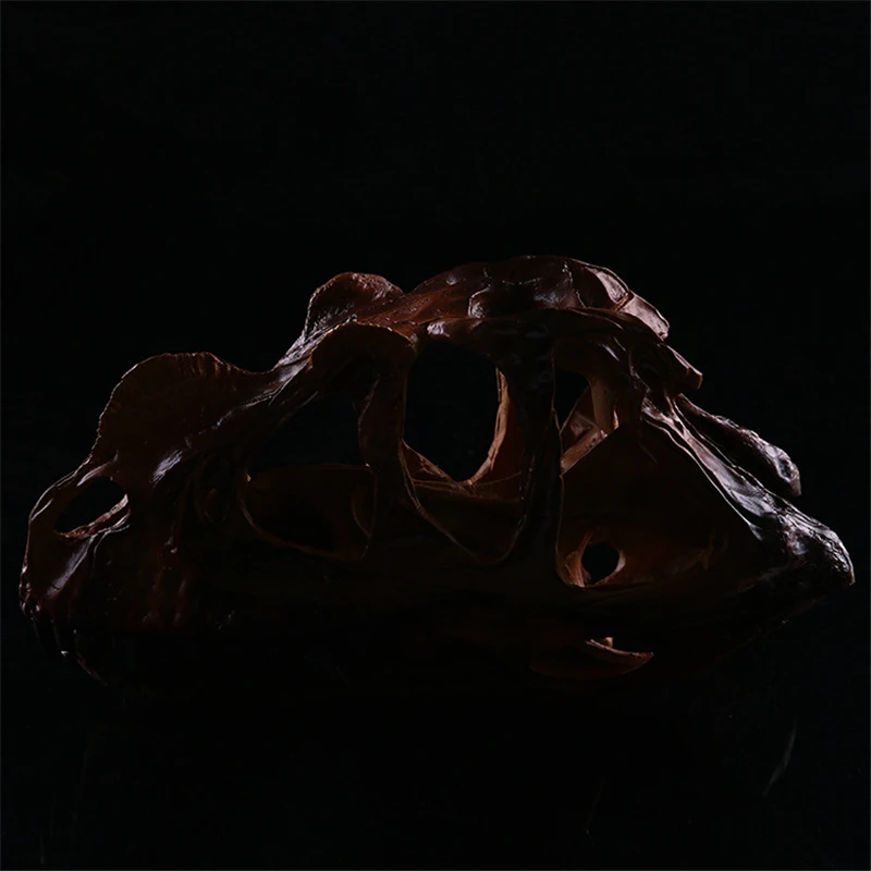 

Dinosaur skull resin skull brown horns personality home furnishings personal decoration family decoration KLGT018