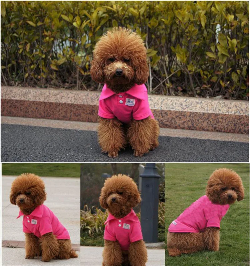Pure color Cool POLO T srhit Повседневная забавная уличная популярная Kawaii одежда для собак