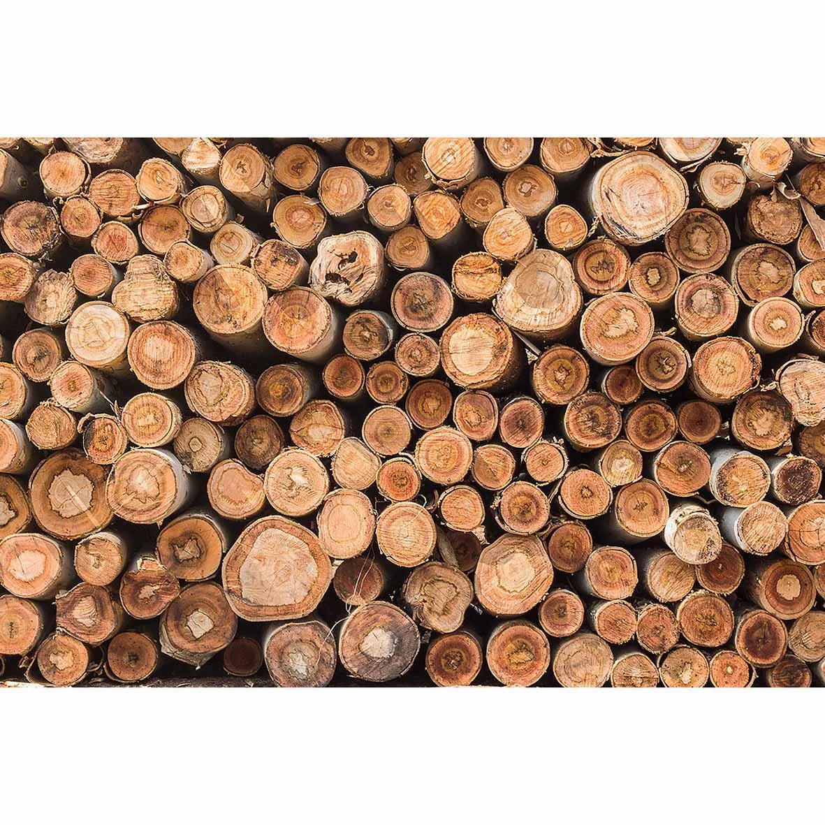 Allenjoy фон для студийной фотосъемки с изображением дерева|Фон фотосъёмки| |