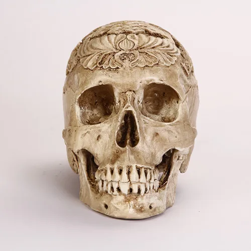 

free shipping life size Human carved resin skull model skeleton model