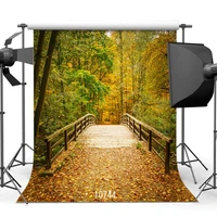 autumn forest bridge fallen leaves vinyl photography backgrounds portrait photophone photography backdrops for photo studio pet