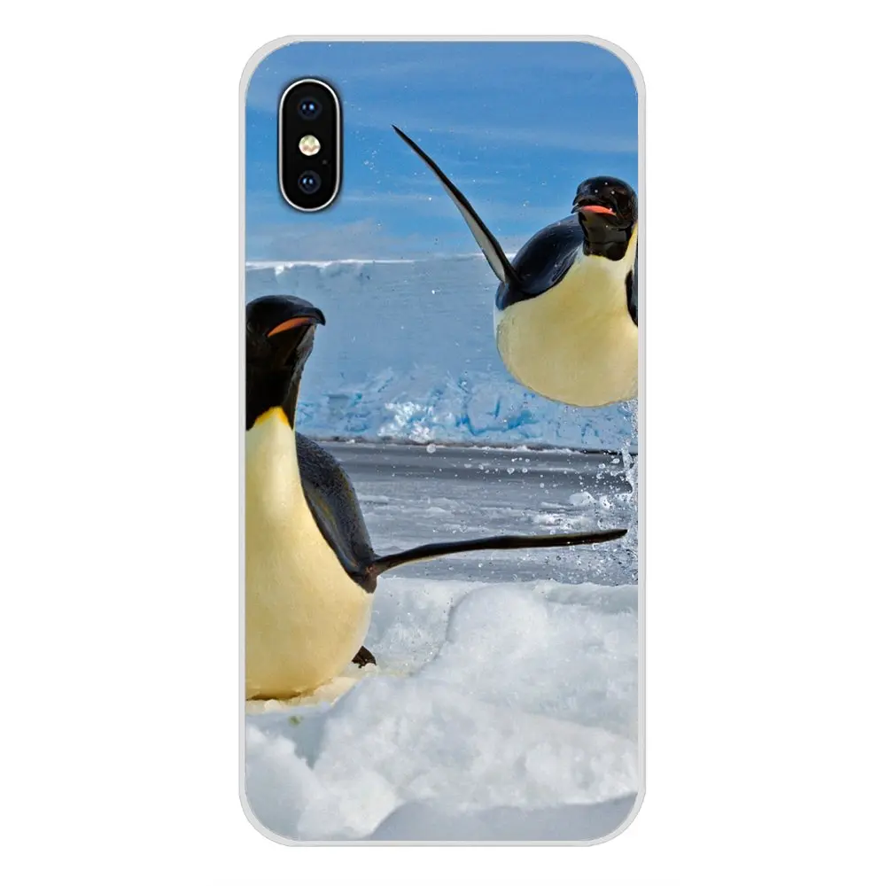 Чехол для телефона Blauw Dolfijnen Penguins Ijsberen Sink Xiaomi Redmi Note 6A MI8 Pro S2 A2 Lite Se MIx 1 Max 2 3 Oneplus 6T |