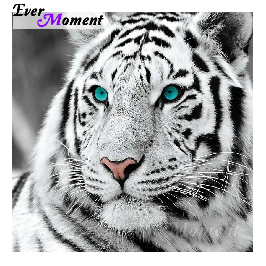 Когда нибудь момент алмазов картина полная квадратная дрель белый тигр домашнее