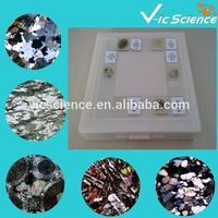 100pcs mineral prepared slides