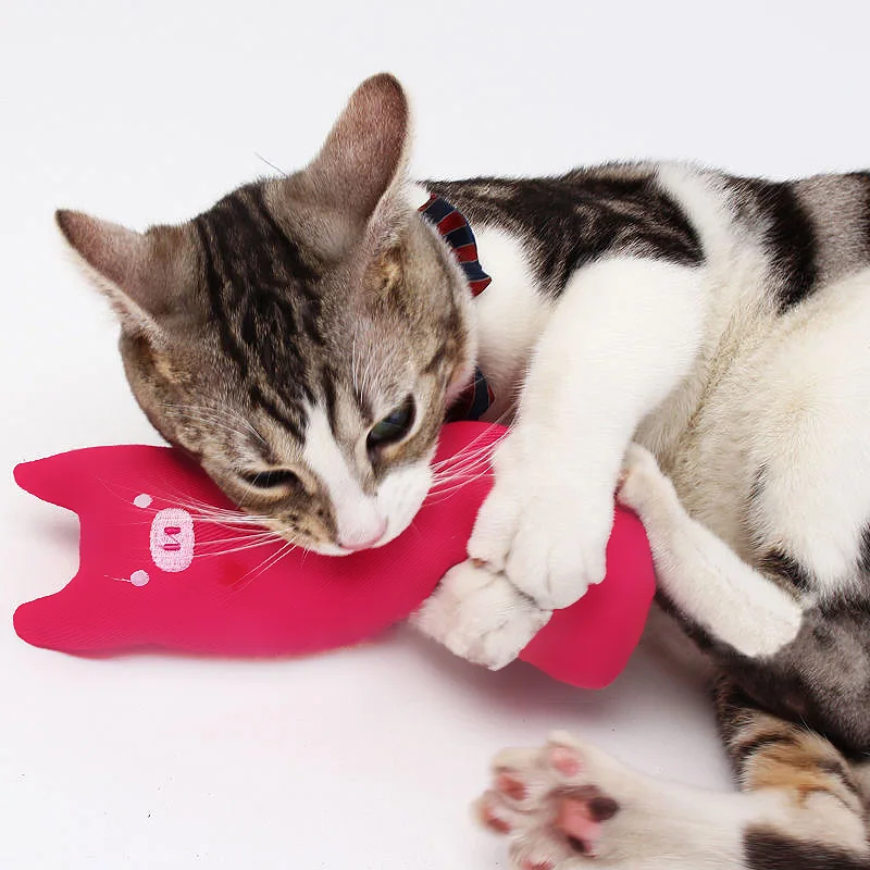 

Pets Teeth Catnip Cat Toys Pillow Plush Interactive Cute Fancy Grinding Quanlity Claws High Thumb Bite Popular mint