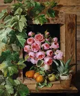 Картина маслом наборы для вышивки крестиком простой цветок Роза рукоделие художественное рукоделие 14CT без печати вышитые стены ручной работы домашний декор