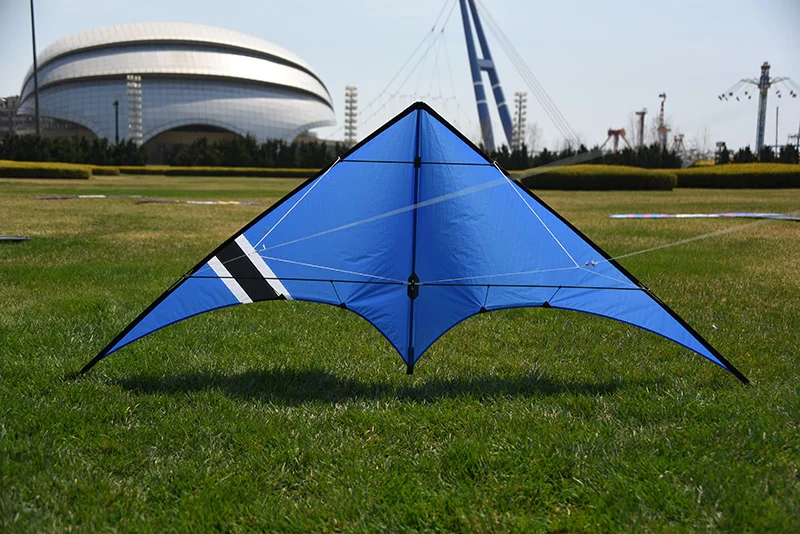 Windsock Классические игрушки розовый трюк кайт трюки вейфан дельта карбоновый