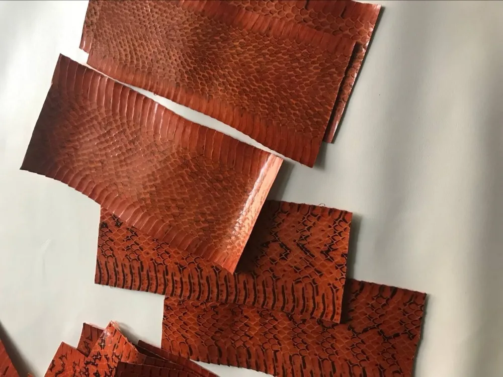 Натуральной Змеиной кожи штук 7 см x 20 см