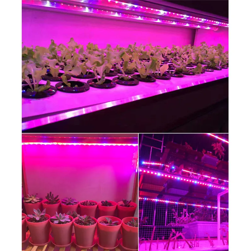 Dc12в светодиодные Фито лампы полный спектр полосы света 60 светодиодов/м 5050 чип LED