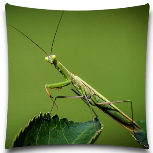 Квадратная наволочка с бабочками/насекомыми стильные хлопковые наволочки из