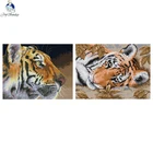 Набор для вышивки крестиком Joy Sunday DMC 14CT 11CT, хлопковая нить ручной работы для вышивания, украшение для дома, подарок