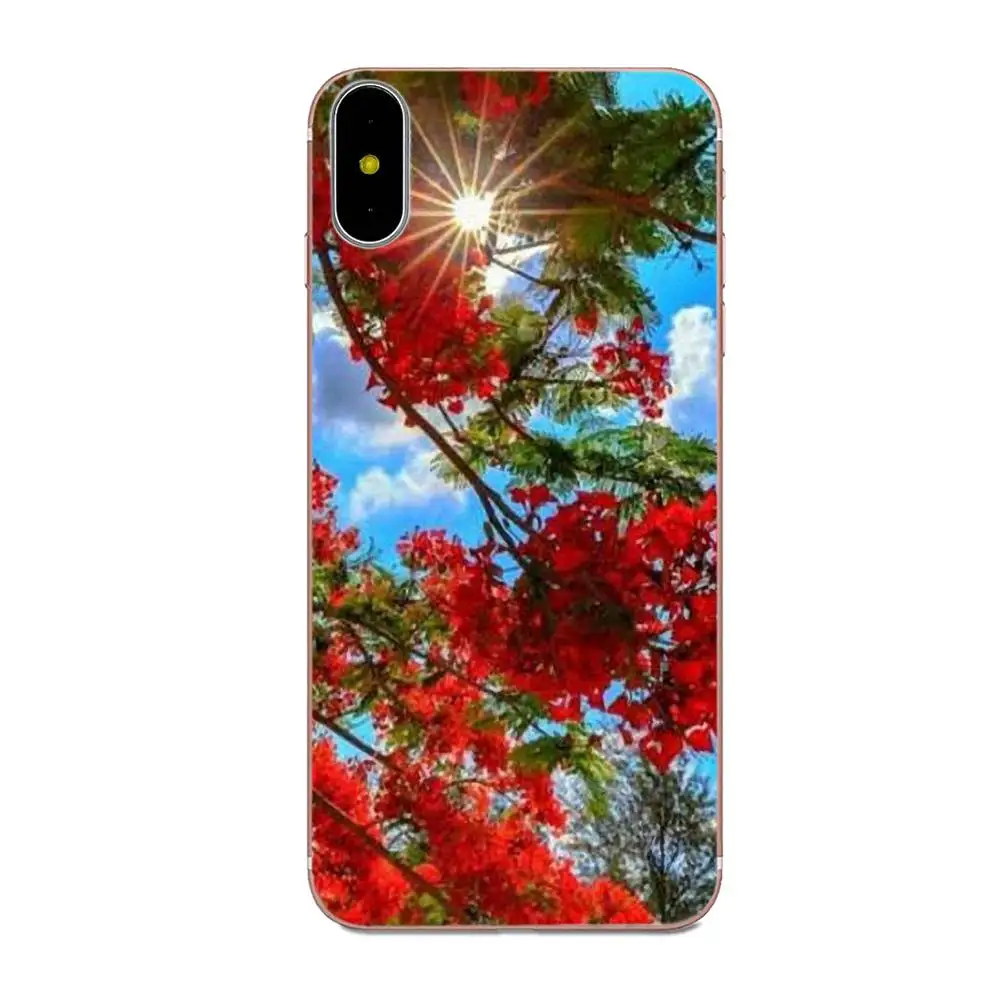 Мягкий ТПУ чехол для Apple iPhone 4 4S 5 5C 5S SE 6 6S 7 8 Plus X XS Max XR|Чехлы-накладки| |