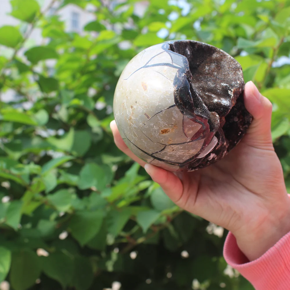 1510g Natural curvature of the furnishing articles Turtle grain stone egg Ball Septarian nodule Fossil Crystal Healing quartz | Дом и сад