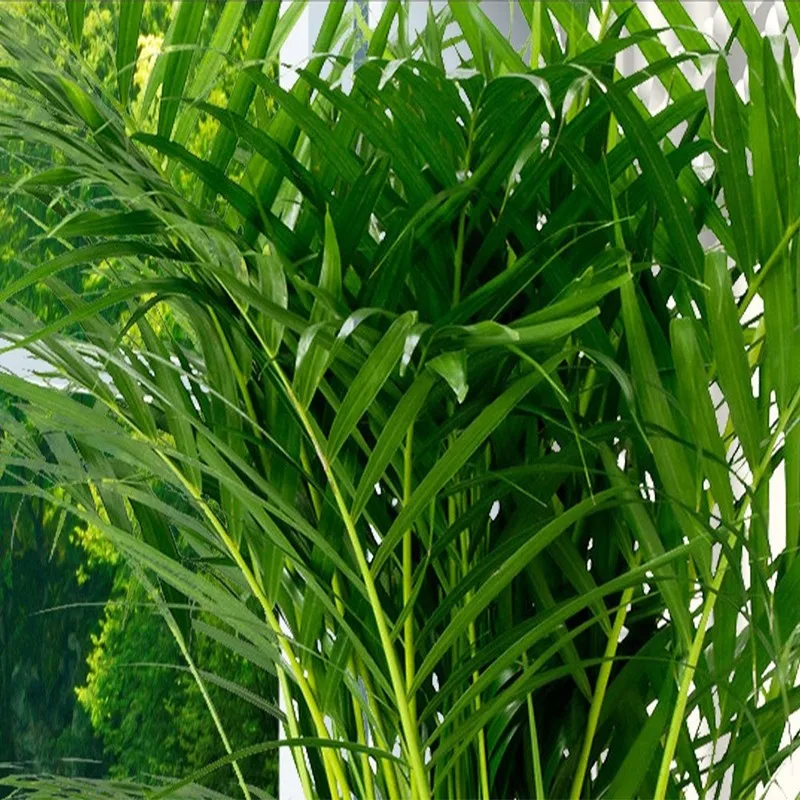 Классические фотообои в китайском стиле с водопадом озером Dove пространственный