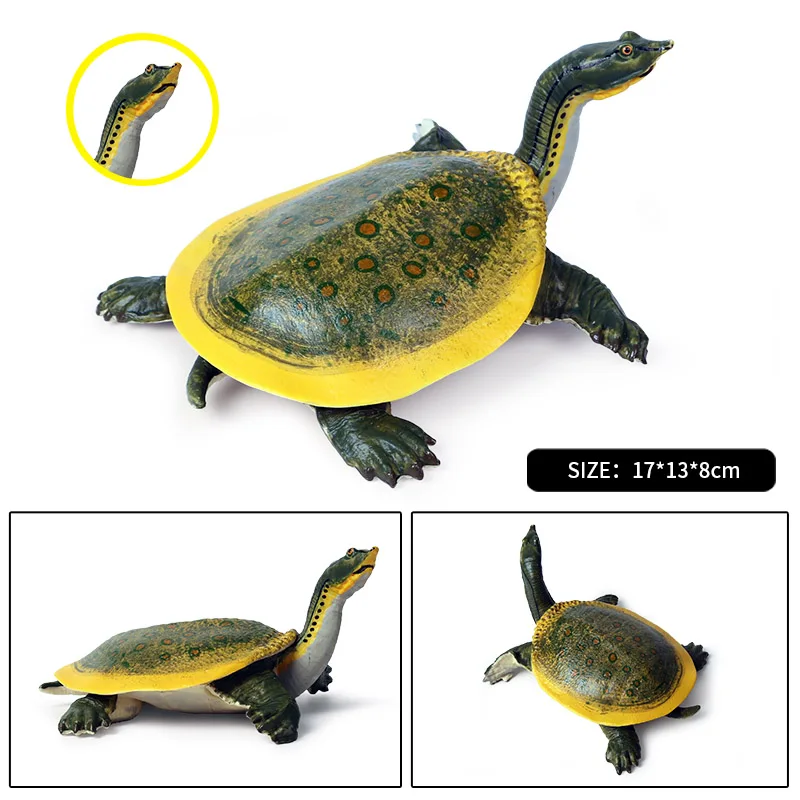 Oenux Lifelike 14x3x8cm Sea Life Animals Soft-shelled Turtle Model Action Figures Classic Educational Toy For Kids Gift | Игрушки и
