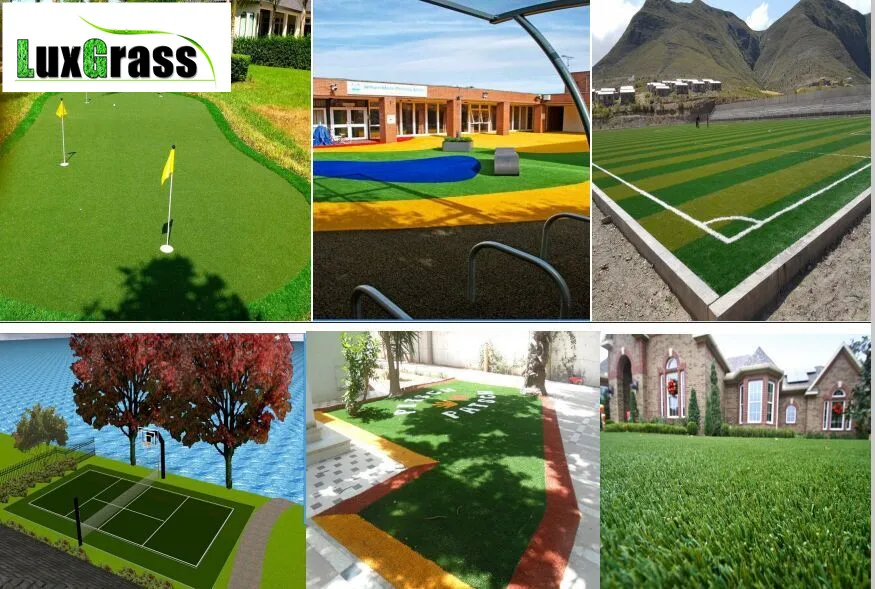 Газонная трава astro для полевого поля|grass|grass turf |