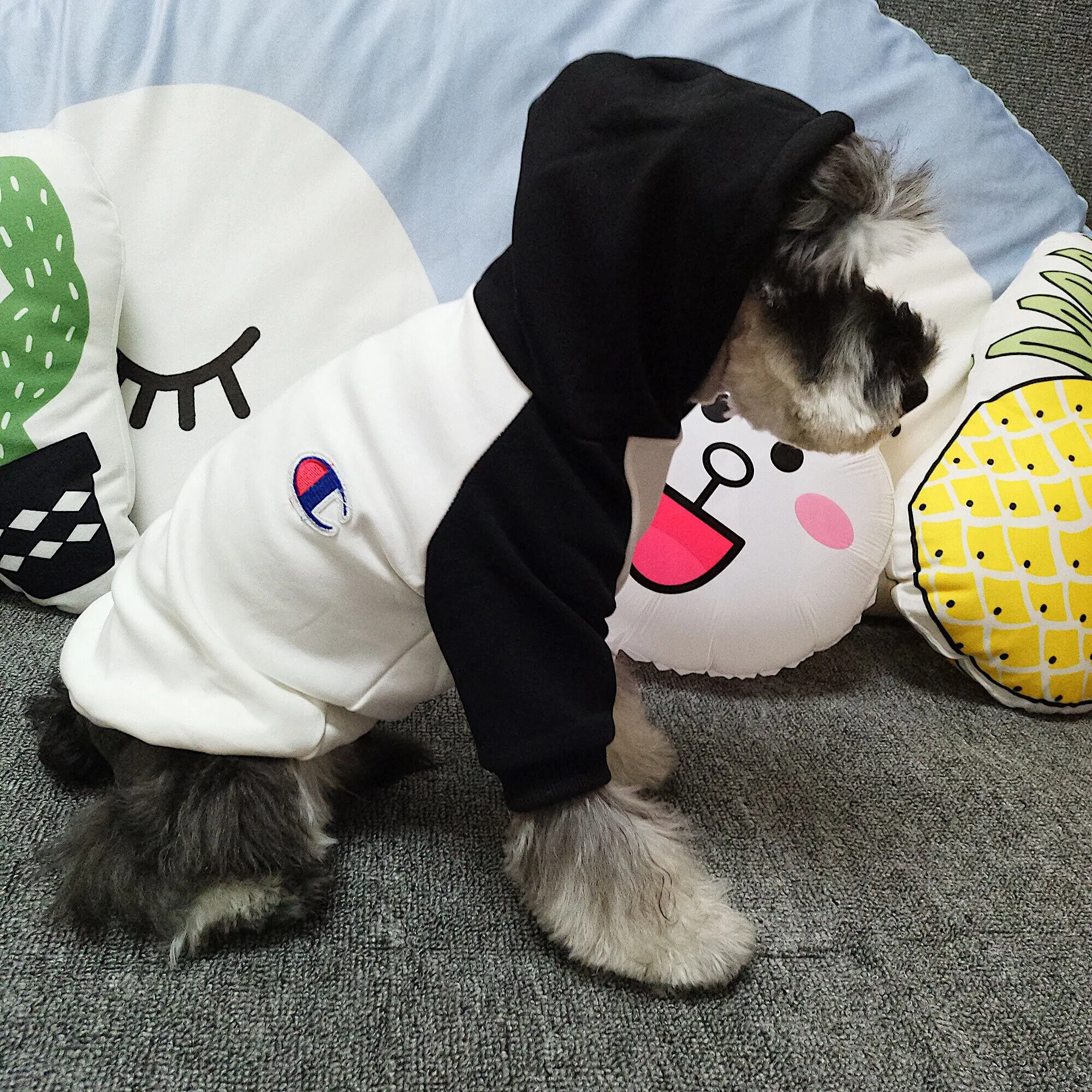 Собака Одежда Зима для собак Шнауцер Французский бульдог Толстовка щенок Мопс