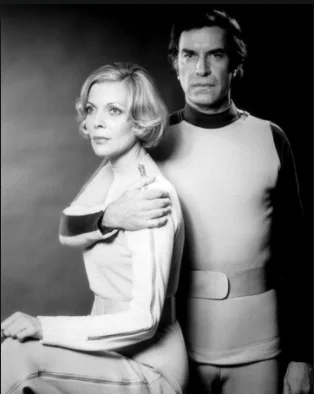 Barbara Bain пространство 1999 Sci-Fi ТВ показывает ретро Винтаж Классический плакат холст