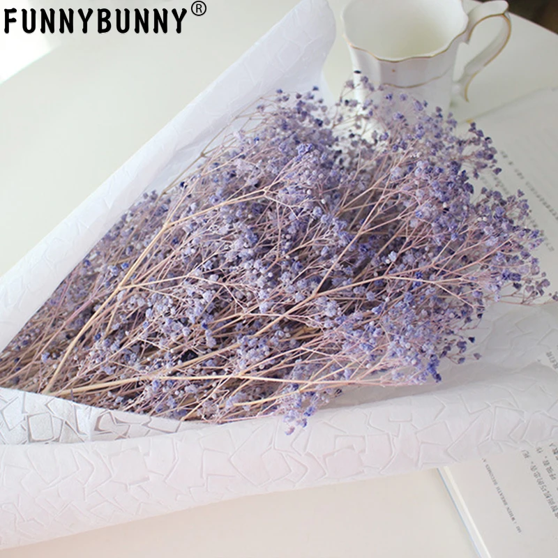 FUNNYBUNNY высушенные детские цветы, высушенные Гипсофилы, сушеные пшеничные стебли(естественное дыхание младенцев