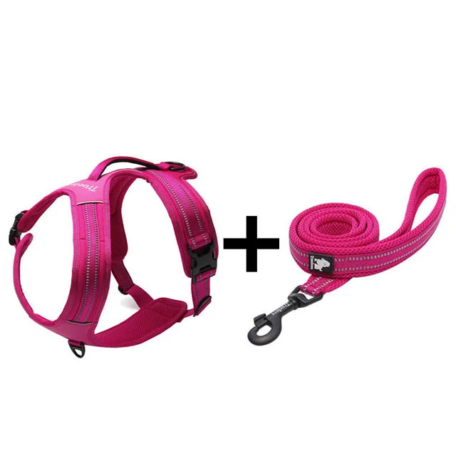 Fuchsia Truelove набор шлеек и поводков для собак, жилет из нейлоновой сетки, поводок для тренировок, бега для средних и больших собак, немецкая овчарка - Цвет: Fuchsia