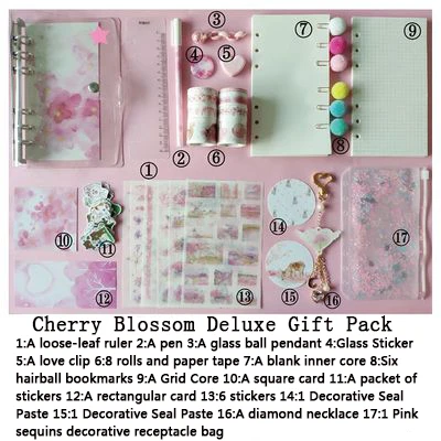 A5 Gift package A A6 Kawaii корейский ins милые путешественника принадлежности для ноутбуков школы ежемесячный недельный повестки дня Планировщик школьные канцелярские дневник подарок - Цвет: A5 Gift package A