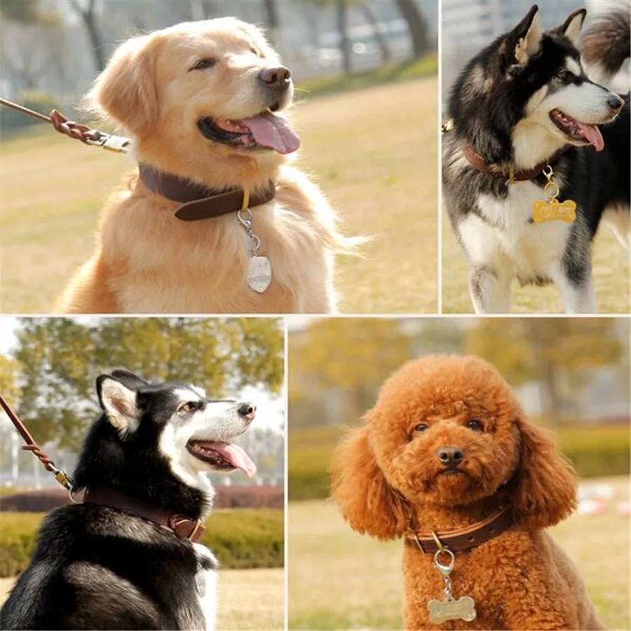 Ошейник из натуральной коровьей кожи для больших питомцев с металлической