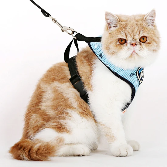 Новые хлопковые воротники для кошек на груди трикотажные ошейники поводок