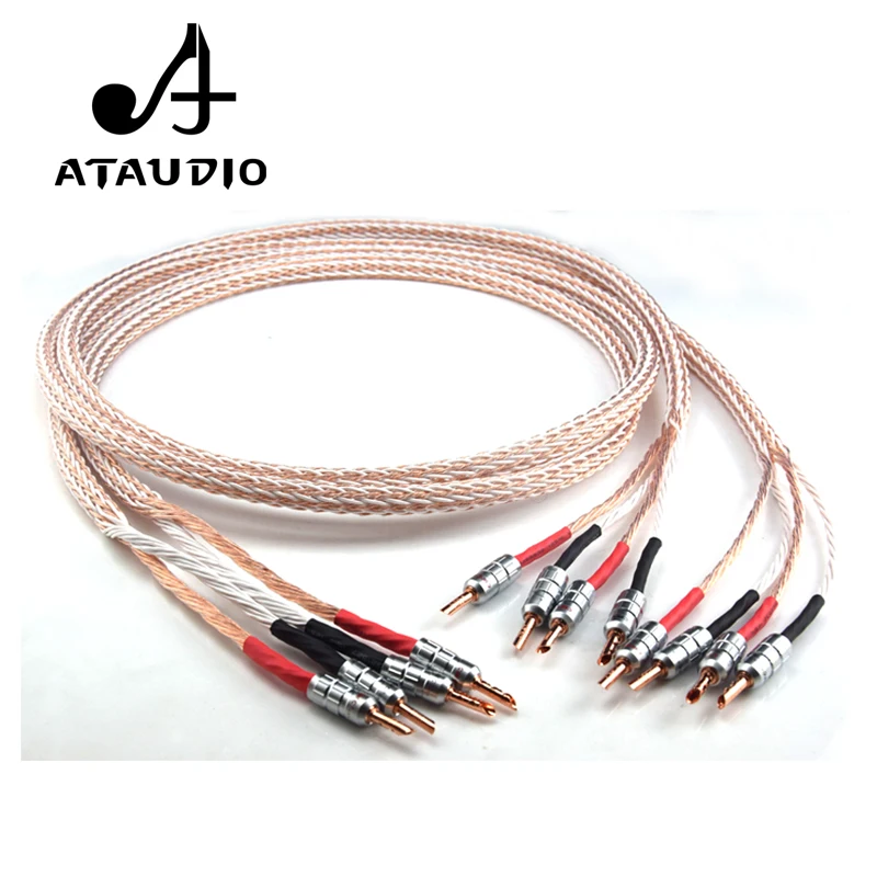 ATAUDIO 12TC Hifi акустический кабель с 2 разъемами типа 