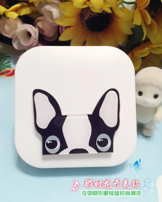 LIUSVENTINA DIY акриловый милый портативный чехол для контактных линз очков и цветных |