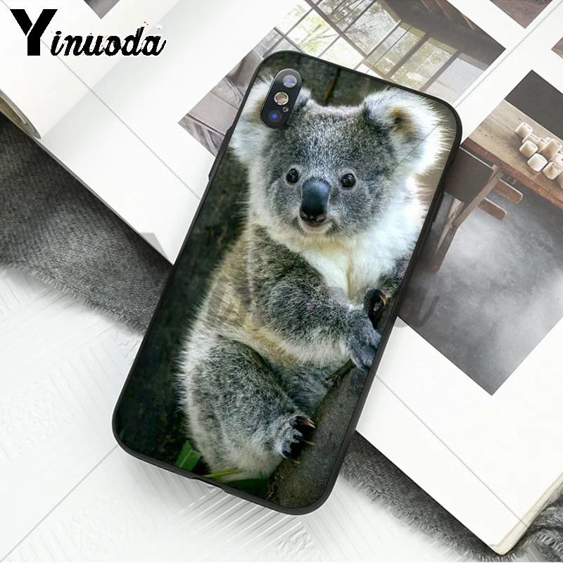 Yinuoda милый чехол с австрийским коалом стильный мягкий для телефона Apple iPhone 8 7 6 6S Plus