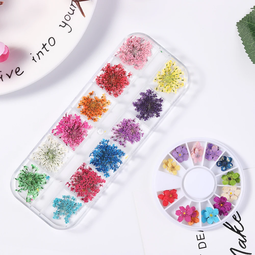 12PCS/Wheel Japanese Nail Art Decoration Dried Flower 3D Manicure Polish Flower Fashion Design For Nail Tips Decoration Tips