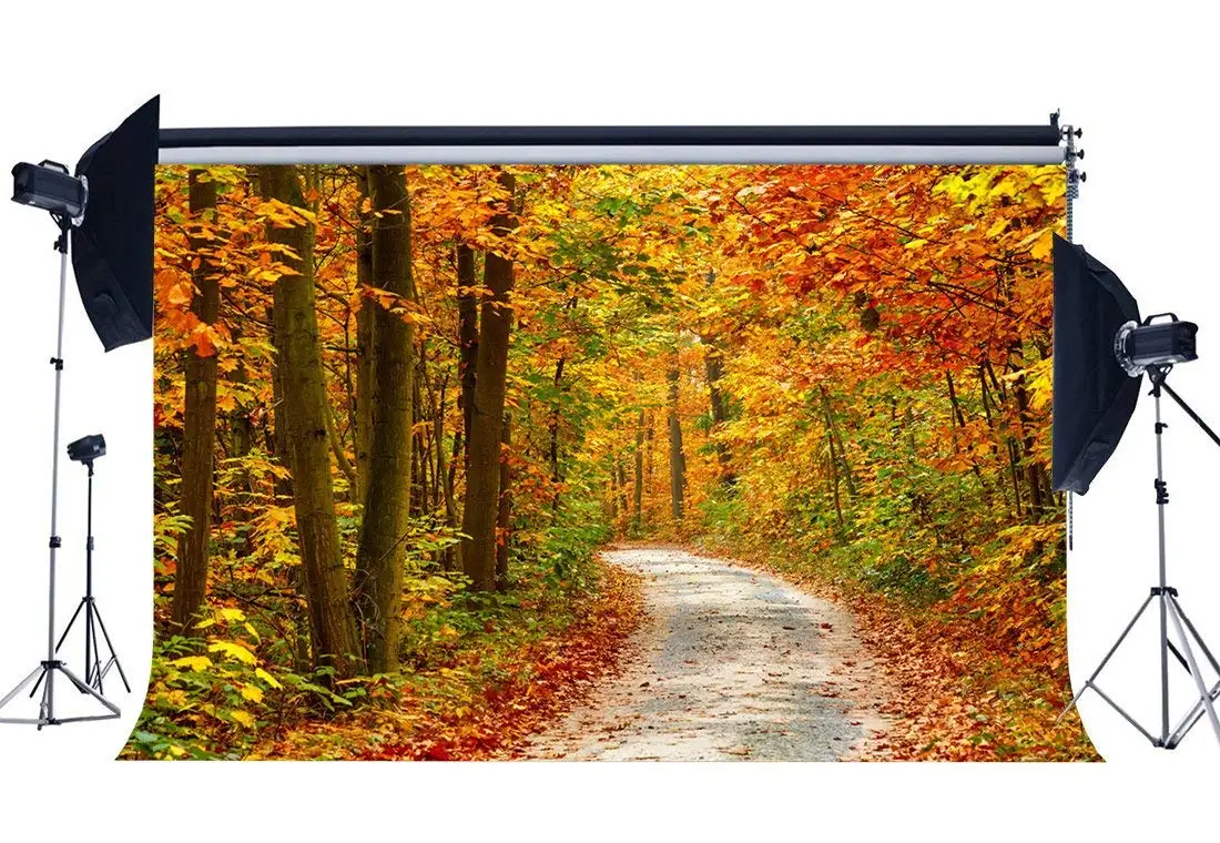 Autumn Backdrop Jungle Forest Backdrops Rustic Dirt Road Highway Background | Электроника