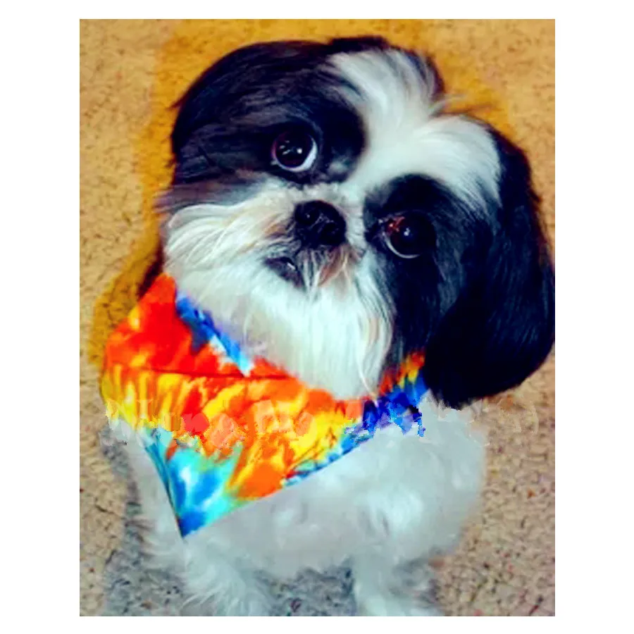 Shih Tzu собака DIY 5D алмазная Картина Вышивка крестом Стразы 3d картина мозаика алмаз