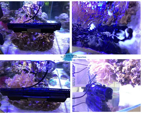 Крест потока волны чайник насос для аквариума Jebao/Jecod cp-55 коралловых рифов пресной воды морской циркуляционный насос 100-240 В