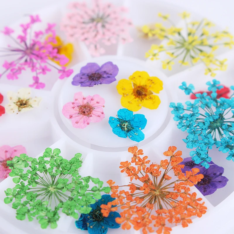 1 коробка высушенный цветок для ногтей художественное украшение Смешанные