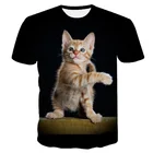 Новинка 2019, женская летняя футболка с 3D изображением кота, Мужская футболка с коротким рукавом и круглым воротником, футболка с изображением животного