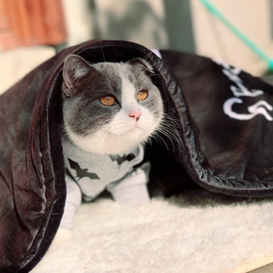 Кота одежда с героями мультфильмов для питомца костюм симпатичная модная