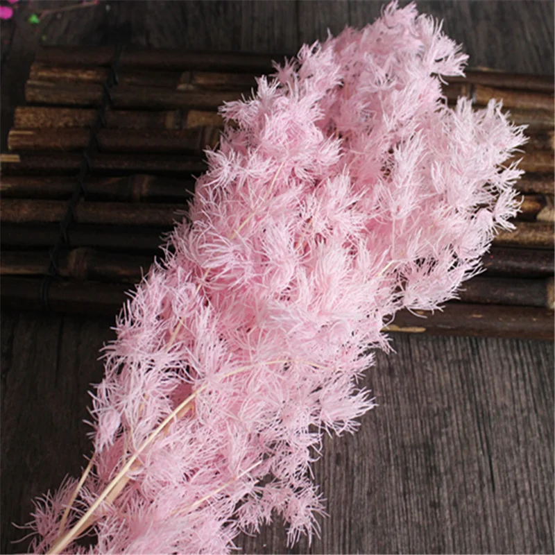 Натуральные сухие цветы для домашнего декора детского дыхания