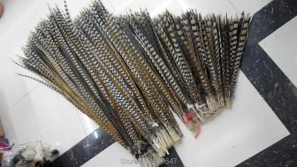 

50Pcs/lot!24-28inch 60-70cm REEVES PHEASANT Natural Feathers REEVES Venery Tail Feathers,Reeves Pheasant Tail Feathers