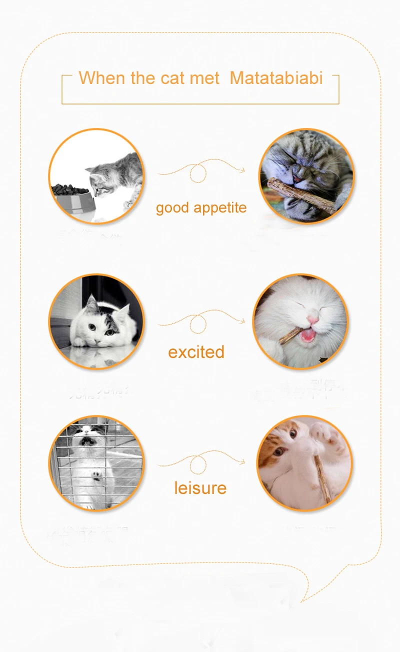 10/20 шт. игрушки кошки котенок палка кошачья мята жевательная палочка игрушки для кошек котенок чистка зубов палочки Зубная щётка Товары для кошек закуски