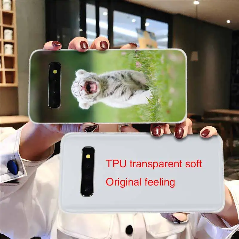 Мягкий чехол для Samsung Galaxy S21 S20 S11 S10 S9 S8 Plus S7 Edge S10e Ultra nimal tiger Cub | Мобильные телефоны и