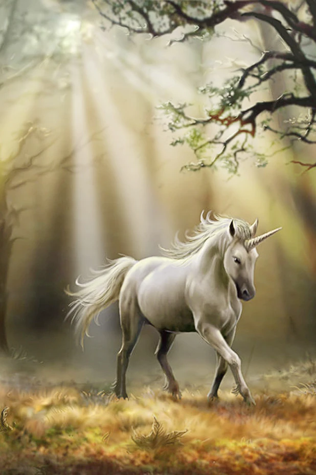 5D Diy Diamond Embroidery Animals Mosaic Unicorn Horse Painting Cross Stitch Wedding Decoration Wall Sticker | Дом и сад